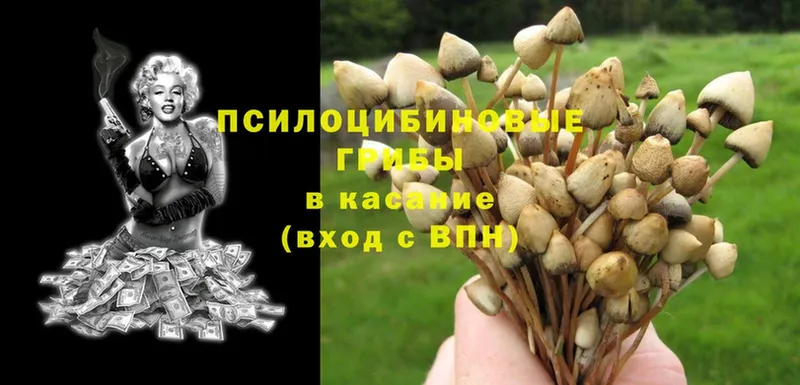 Галлюциногенные грибы GOLDEN TEACHER  mega ONION  Байкальск 